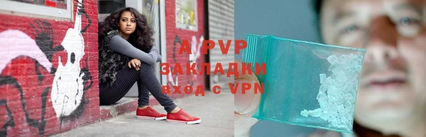 дживик Майский