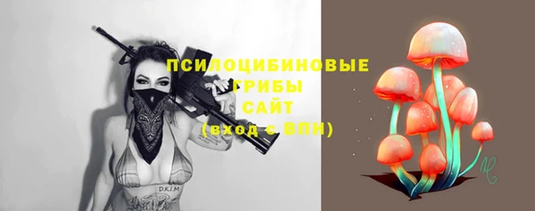 дживик Майский