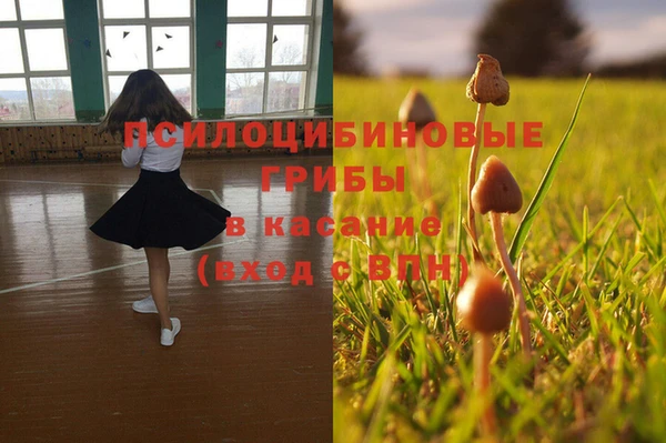 mix Магас